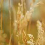 [:en]What is a POS System?[:he]מהי נקודת מכירה ואיך היא עובדת?[:es]What is a POS System?[:]